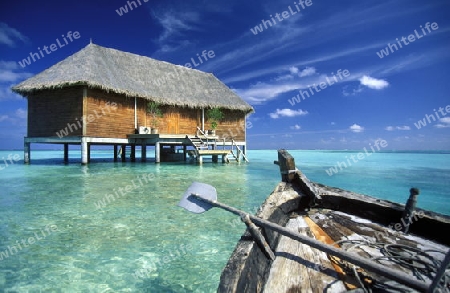 
Ein Holzboot Dhoni Taxi auf dem Weg zum Bungalow am Strand der Insel Veligandu im Artsu Atoll auf den Inseln der Malediven im Indischen Ozean.   