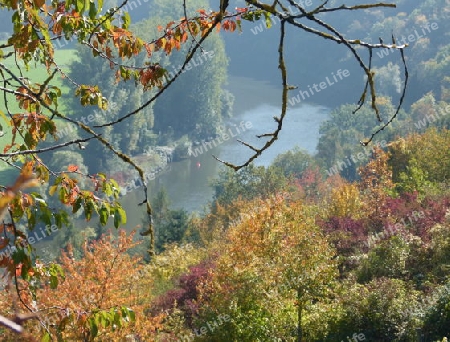 Weinberge am Neckar  4