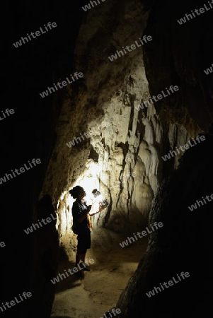 Die Hoehle Cave Pangmapha in der Bergregion von Soppong im norden von Thailand in Suedostasien.