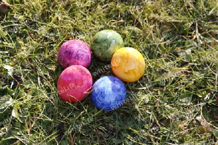 group of easter eggs on the grass