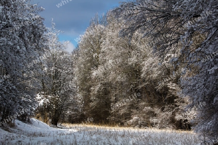 Winterliche Landschaft bin der Innau bei Alzgern