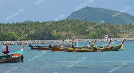 Longtale Boote in Phuket