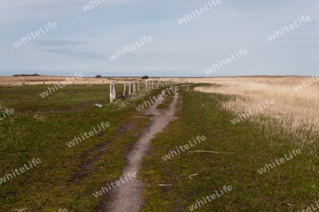 Am  Bodden, Nationalpark Vorpommersche Boddenlandschaft, Deutschland