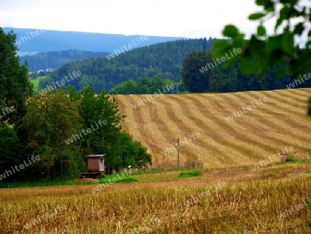 Ausblick auf ein Feld