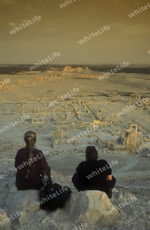 Die Ruinen von Palmyra in der Wueste Faydat in Syrien im Mittleren Osten in Arabien.