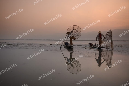 Fishermen at sunrise in the Landscape on the Inle Lake in the Shan State in the east of Myanmar in Southeastasia.