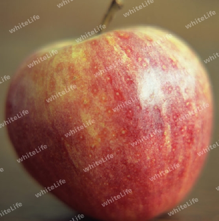 Apfel