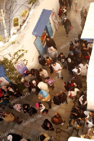 Der Alltag in Sidi Bou Said noerdlich von Tunis der Hauptstadt von Tunesien in Nordafrika.