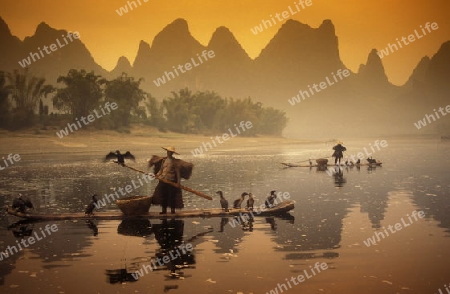 the landscape at the Li River near Yangshou near the city of  Guilin in the Province of Guangxi in china in east asia. 