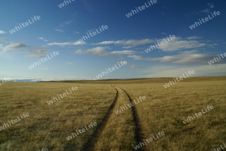 Fahrt in der Steppe