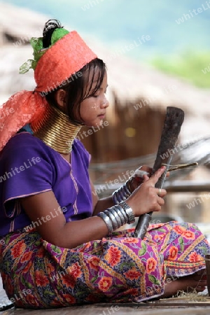 Eine Traditionell gekleidete Langhals Frau eines Paudang Stammes aus Burma lebt in einem Dorf noerdlich von Chiang Mai in Nord Thailand