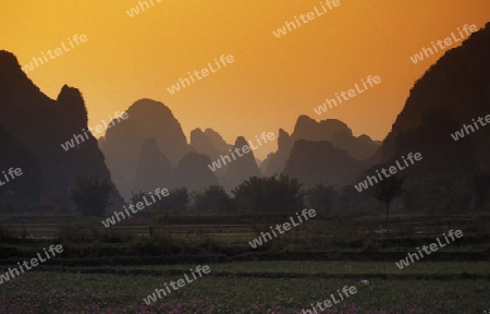 the landscape at the Li River near Yangshou near the city of  Guilin in the Province of Guangxi in china in east asia. 