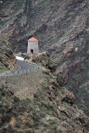 a Landscape of the Mountain Region of  Tamadaba in the centre of the Canary Island of Spain in the Atlantic ocean.