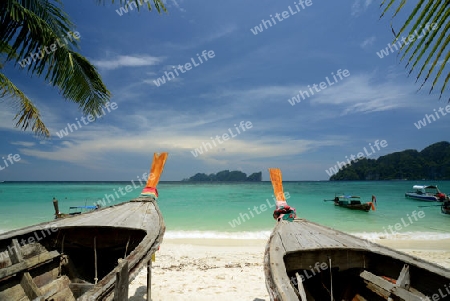 A Beach on the Island of Ko PhiPhi on Ko Phi Phi Island outside of the City of Krabi on the Andaman Sea in the south of Thailand. 