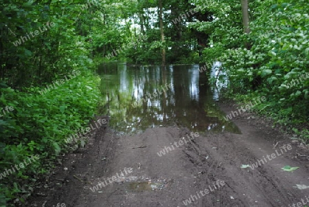 Hochwasser Rhein-Neckar