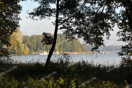 Blick auf den Schwielowsee