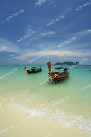 A Beach on the Island of Ko PhiPhi on Ko Phi Phi Island outside of the City of Krabi on the Andaman Sea in the south of Thailand. 