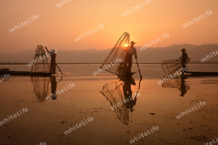 Fishermen at sunrise in the Landscape on the Inle Lake in the Shan State in the east of Myanmar in Southeastasia.