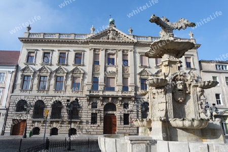 Grumbkow Palais, Palast unter dem Globus