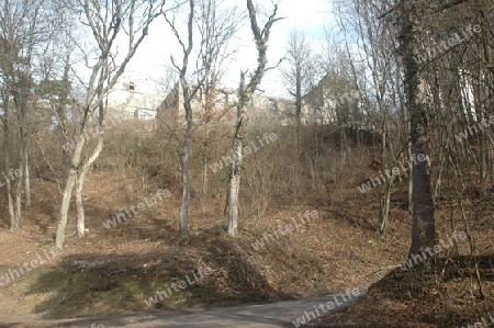 Burg im Wald