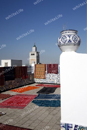 Afrika, Nordafrika, Tunesien, Tunis
Die Grosse Moschee Zaytouna von einer Dachterasse in der Medina oder  Altstadt der Tunesischen Hauptstadt Tunis. 






