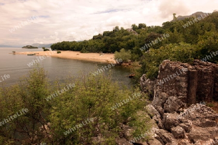 Europa, Osteuropa, Balkan. Montenegro, Skadar, See, Landschaft, Murici, Strand,  