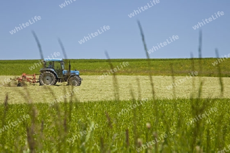 Landwirtschaft