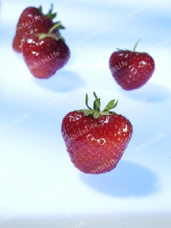 Erdbeeren