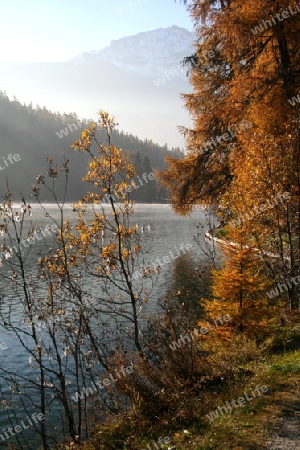 Herbsstimmung am Champfersee