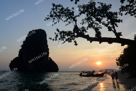 The Hat Phra Nang Beach at Railay near Ao Nang outside of the City of Krabi on the Andaman Sea in the south of Thailand. 