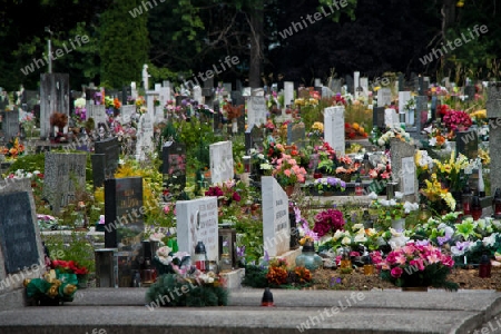 Nationalfriedhof Martin - Slowakei