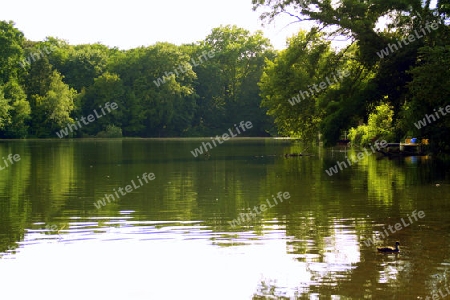 schlachtensee im berliner grunewald