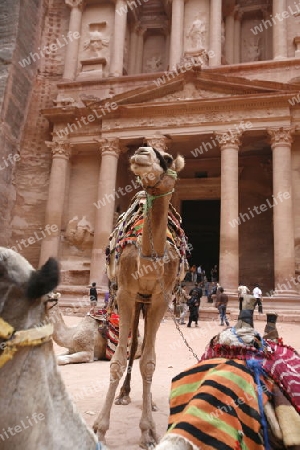 The Al Khazneh Treasury in the Temple city of Petra in Jordan in the middle east.