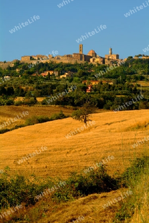 volterra