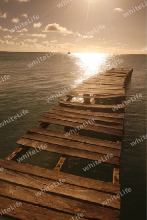 Suedamerika, Karibik, Venezuela, Los Roques, Ein Holzsteg am Hafen auf Gran Roque auf der Inselgruppe von Los Roques in der Karibik.      (Urs Flueeler) 