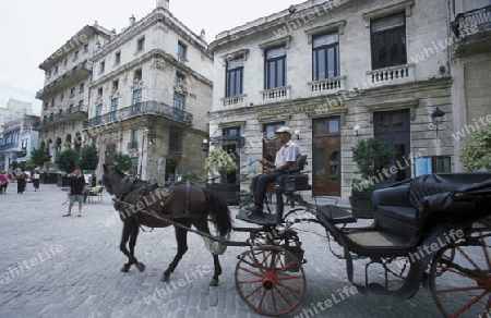 the Plaza de la Catedral in the old town of the city Havana on Cuba in the caribbean sea.