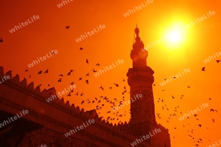 Asien, Naher Osten, Syrien, Damaskus,   Die Omaijad Moschee im Souq und Altstadt von Damaskus in der Hauptstadt von Syrien. 