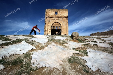 The fresh Leather gets dry on the sun near Leather production in front of the Citywall in the old City in the historical Town of Fes in Morocco in north Africa.