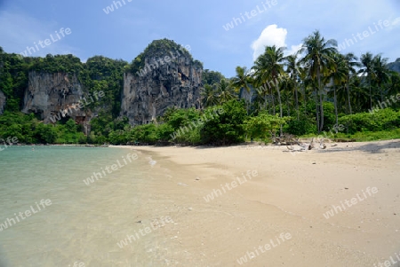 The Hat Tom Sai Beach at Railay near Ao Nang outside of the City of Krabi on the Andaman Sea in the south of Thailand. 