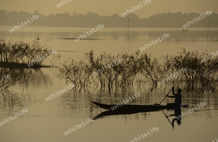 Ein Fischer auf dem See in Amnat Charoen im Isan im osten von Thailand,