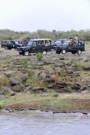 Safariwagen mit Touristen warten am Ufer des Mara Flusses auf die Ueberquerung der Tiere, Masai Mara, kenia