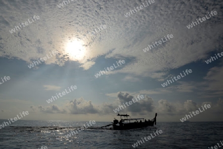 a Boat on the way to Maya Beach  near the Ko Phi Phi Island outside of the City of Krabi on the Andaman Sea in the south of Thailand. 