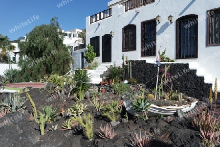 Idylle in Puerto del Carmen, Lanzarote