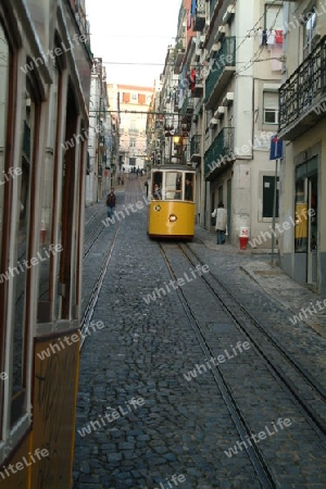 elevador da bica