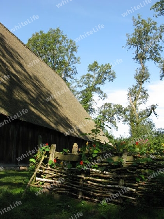 Schattiger Garten in L?neburger Heide