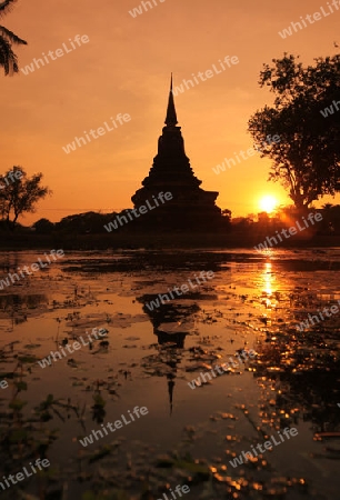 Ein Chedi beim Wat Mahathat Tempel in der Tempelanlage von Alt-Sukhothai in der Provinz Sukhothai im Norden von Thailand in Suedostasien.