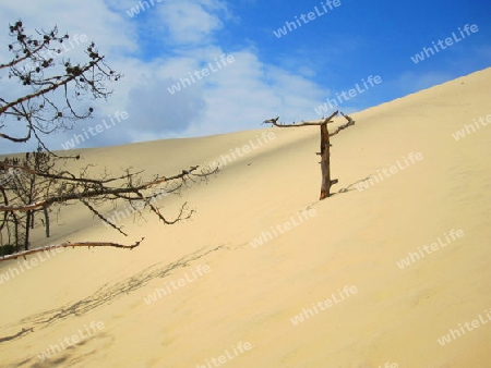 Grande Dune du Pyla 