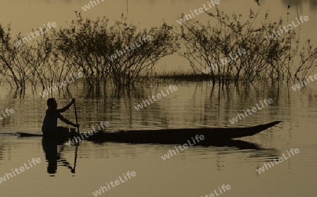 Ein Fischer auf dem See in Amnat Charoen im Isan im osten von Thailand,