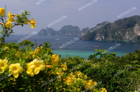 The view from the Viewpoint on the Town of Ko PhiPhi on Ko Phi Phi Island outside of the City of Krabi on the Andaman Sea in the south of Thailand. 