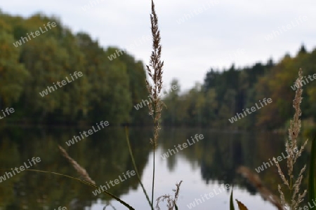 natural lake